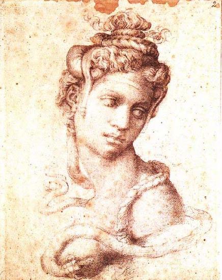 Michelangelo Buonarroti Cleopatra France oil painting art